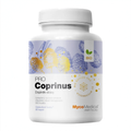 MycoMedica Coprinus PRO 90 növényi kapszula