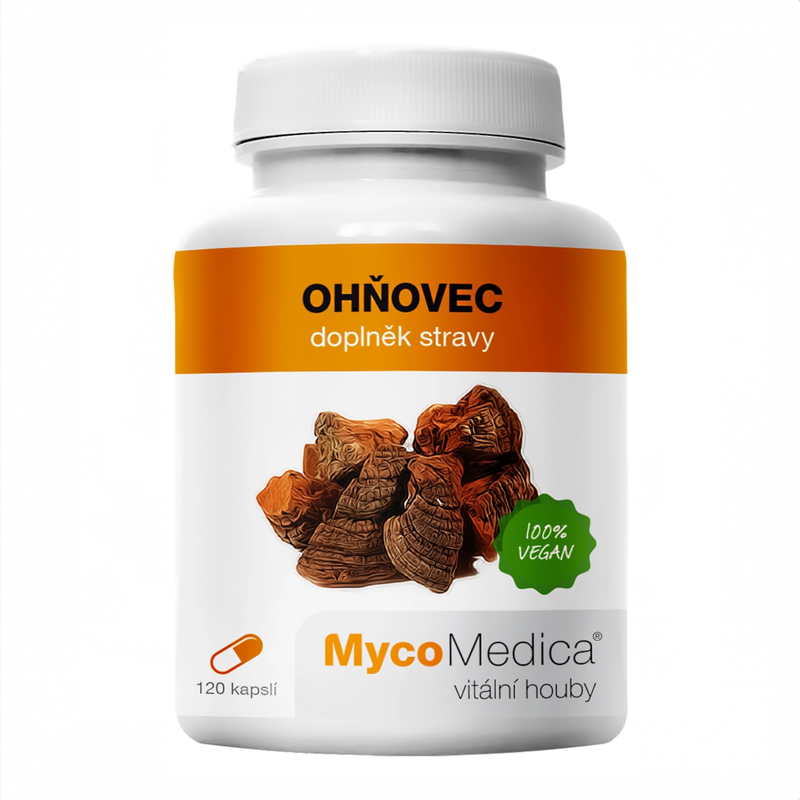 MycoMedica Phellinus 90 növényi kapszula