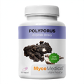 MycoMedica Polyporus 90 növényi kapszula